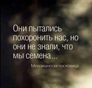 -489799-604-576-