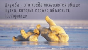 Дружба — когда принимаешь тебя таким, какой ты есть. 