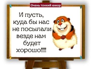 6853865 f872cbbd66e7dfc4310acfeb5daab07e 800