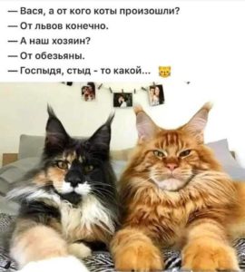 WhatsApp Image 2020 03 30 at 19.42.50