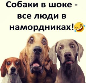 WhatsApp Image 2020 03 30 at 19.52.33