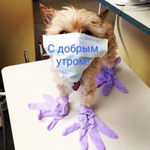 WhatsApp Image 2020 04 09 at 09.34.40