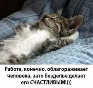 WhatsApp Image 2020 04 30 at 20.51.37