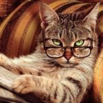 Рисунок профиля (Котикова Т.И. Internet)