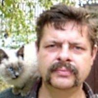 Рисунок профиля (Виктор Ярошенко)
