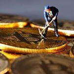 Рисунок профиля (CryptoNews Airdrop)