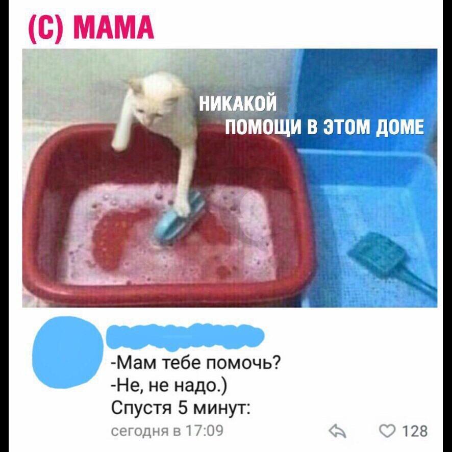 Рисунок профиля (Олеся Ледокова)