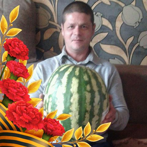 Рисунок профиля (Виктор Шукало)