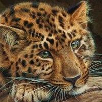 Рисунок профиля (Олександр Ларионов)