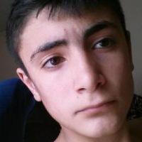 Рисунок профиля (Edwin Sayadyan)