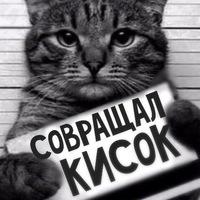 Рисунок профиля (Дмитрий Бондарев)