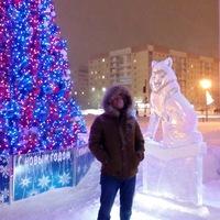 Рисунок профиля (Александр Ларионов)