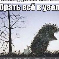 Рисунок профиля (Иван Масленкин)