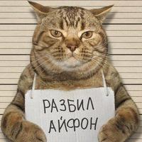 Рисунок профиля (Сергей Бесчетнов)