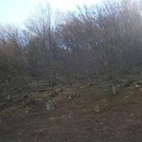 Рисунок профиля (Vasiok Iutis)