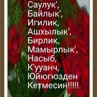Рисунок профиля (Rezuan Uzdenov)