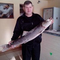Рисунок профиля (Максим Дехтяренко)