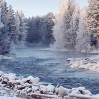 Рисунок профиля (Наталья Полянская)