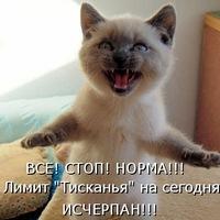Рисунок профиля (Tima Timan)