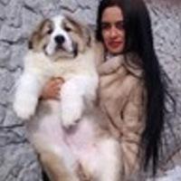 Рисунок профиля (Snejana Zolotarewa)