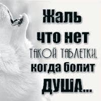 Рисунок профиля (Николай Байков)